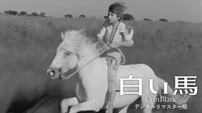 白い馬 デジタルリマスター版