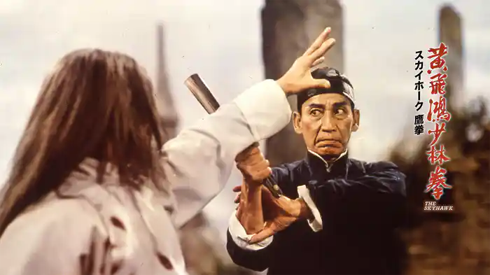 スカイホーク 鷹拳