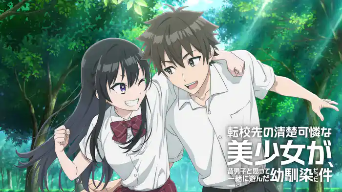 転校先の清楚可憐な美少女が、昔男子と思って一緒に遊んだ幼馴染だった件