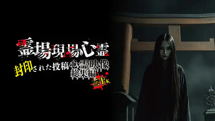 「霊場現場心霊」 封印された投稿心霊映像総集編三十本