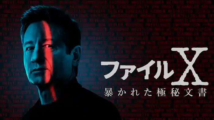 ファイルX：暴かれた極秘文書
