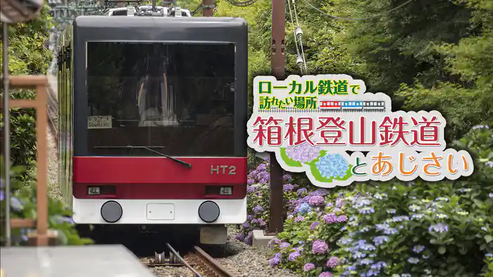 ローカル鉄道で訪れたい場所 箱根登山鉄道とあじさい