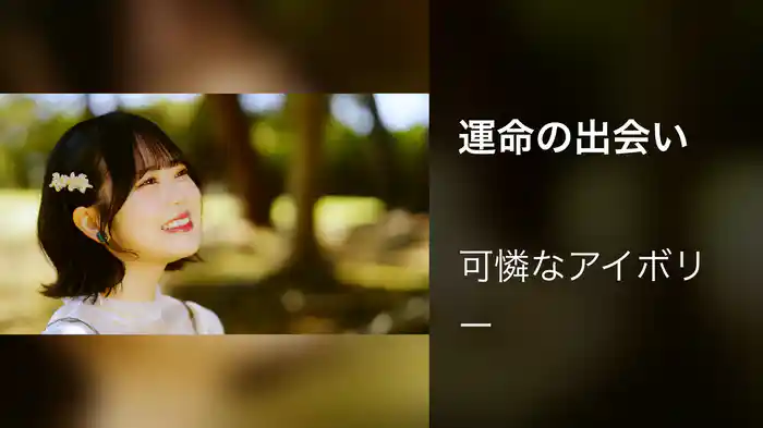 運命の出会い