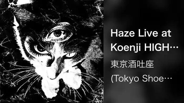 Haze Live at Koenji HIGH 26.4.19