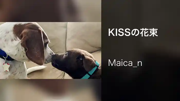 KISSの花束
