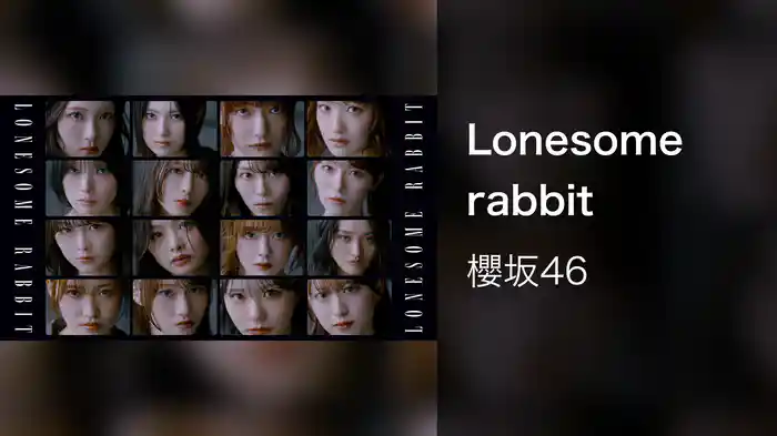 Lonesome rabbit