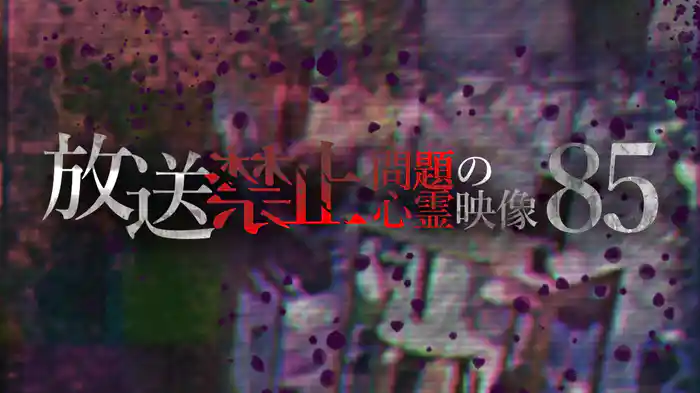 放送禁止 問題の心霊映像85