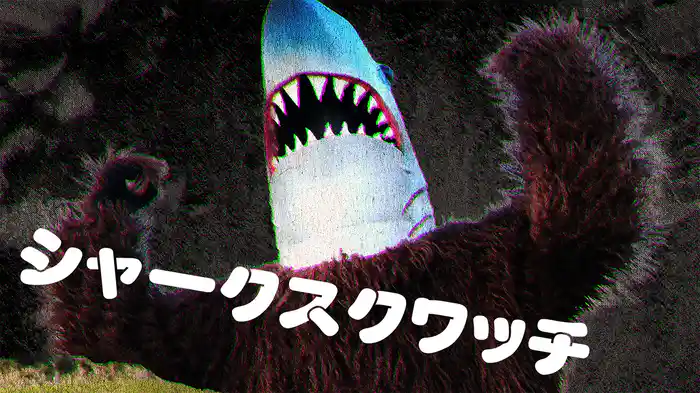 シャークスクワッチ