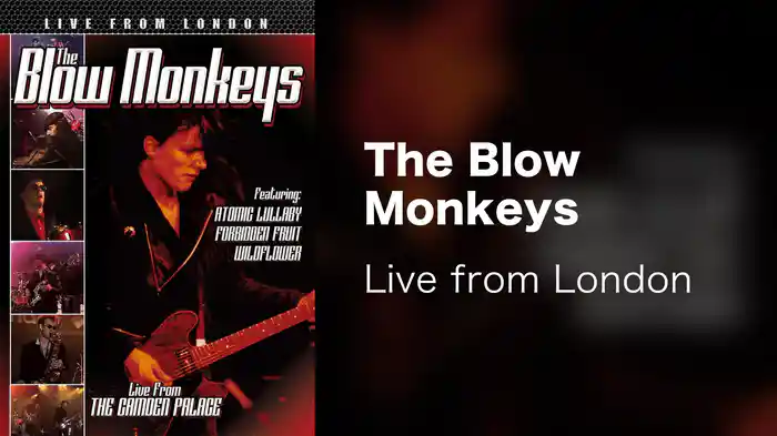 The Blow Monkeys - Live from London