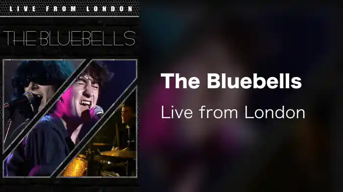 The Bluebells - Live from London
