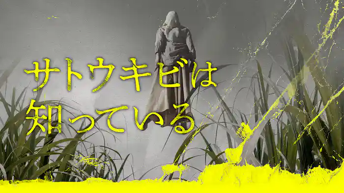 サトウキビは知っている
