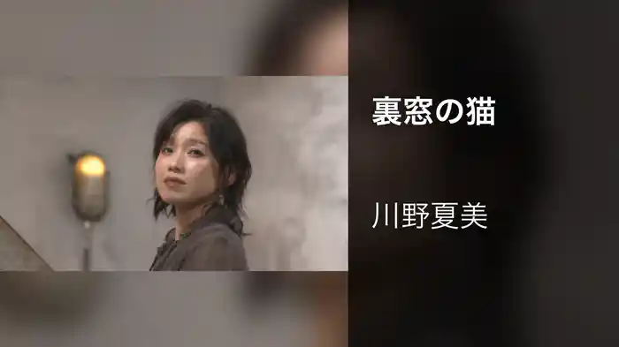 裏窓の猫