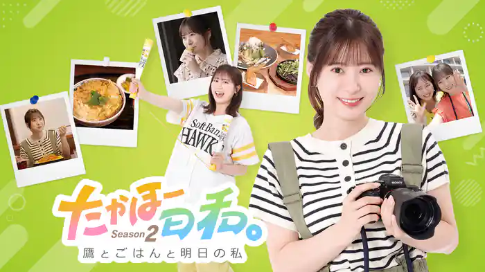 たかほー日和。Season2 ~鷹とごはんと明日の私~