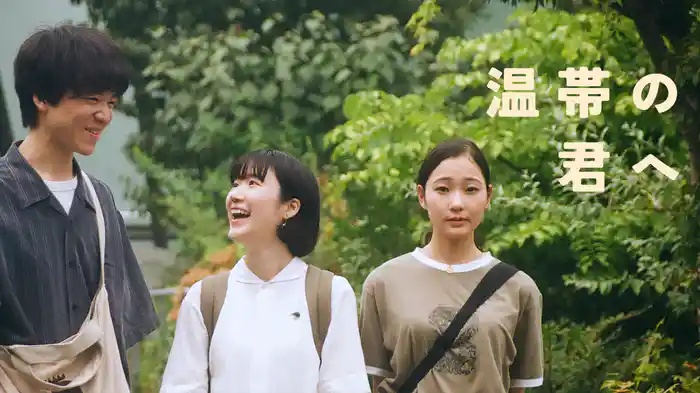 温帯の君へ