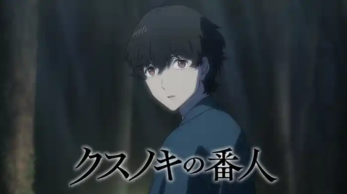 クスノキの番人