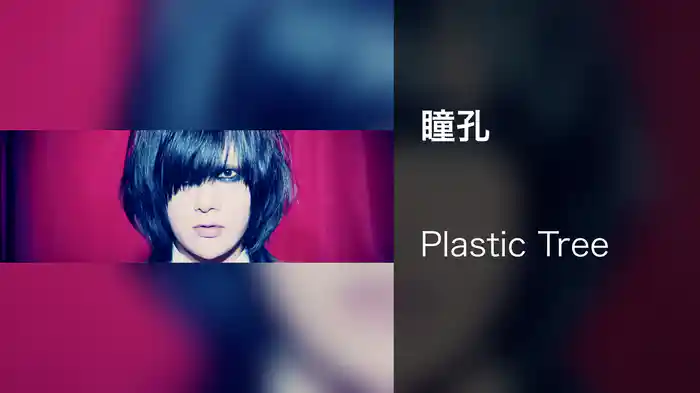 瞳孔