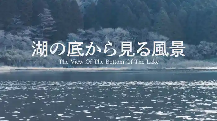 湖の底から見る風景