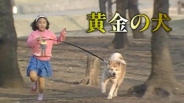黄金の犬
