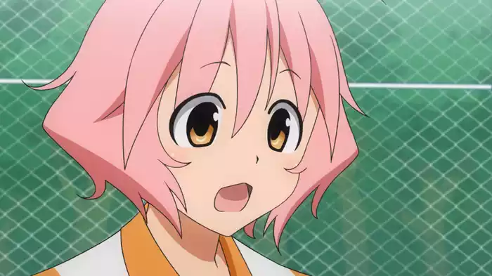 そふてにっ