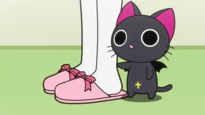 にゃんぱいあ-The Animation-