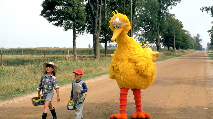 セサミストリート ザ・ムービー： おうちに帰ろう、ビッグバード！