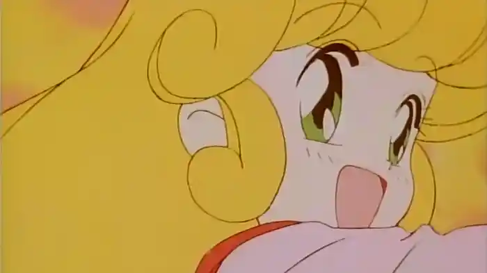 花の魔法使い マリーベル フェニックスのかぎ