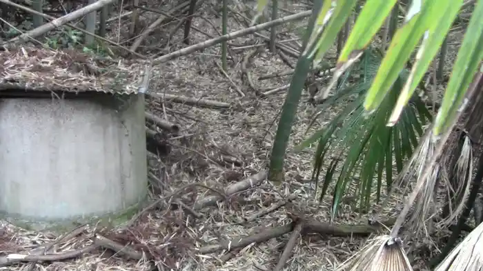 実録!!ほんとにあった恐怖の投稿映像