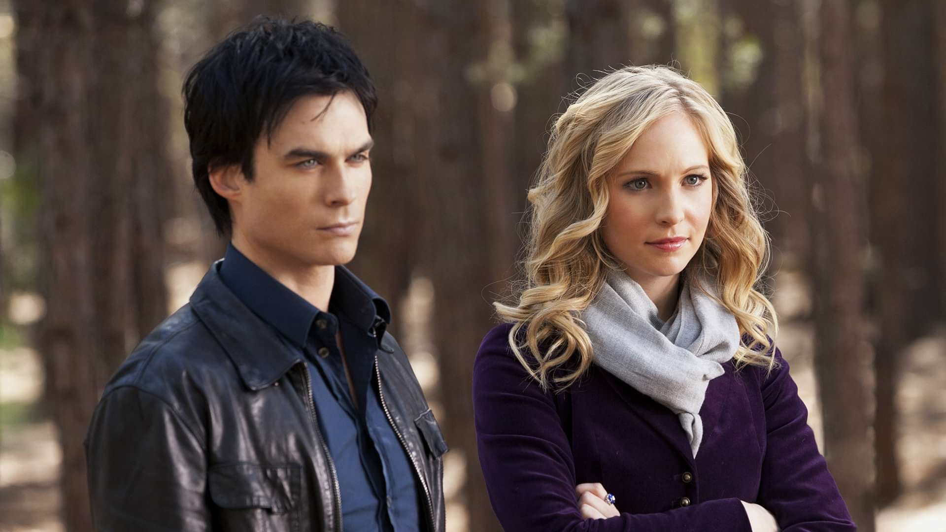 ヴァンパイア ダイアリーズ シーズン３の動画視聴 あらすじ U Next