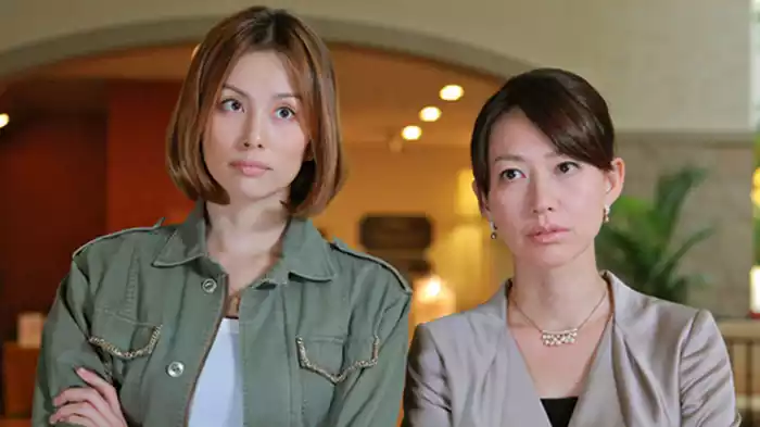 ナサケの女～国税局査察官～