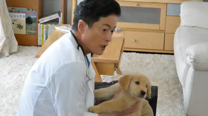 獣医さん、事件ですよ