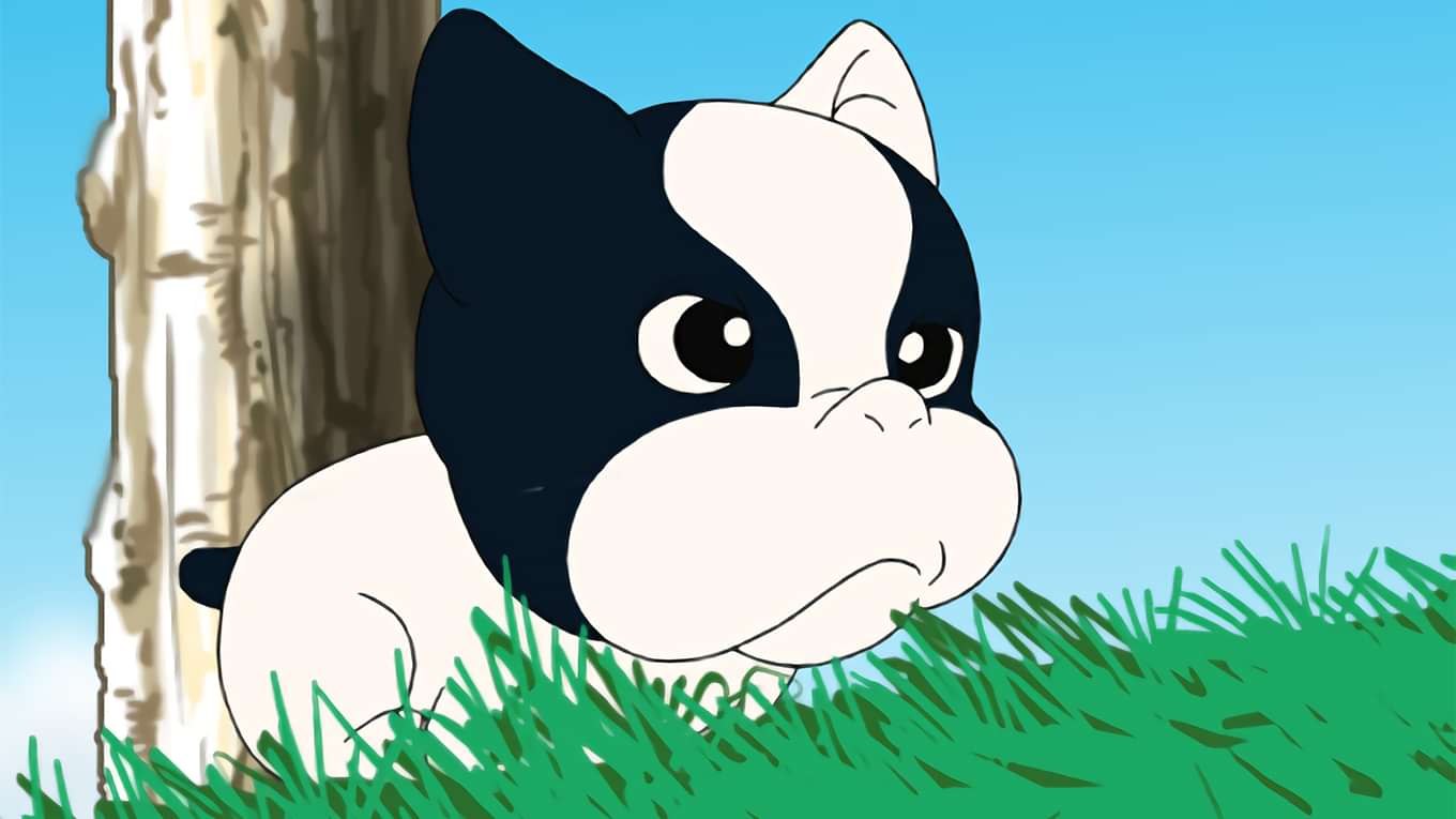 ふぉうちゅんドッグすの動画視聴 あらすじ U Next