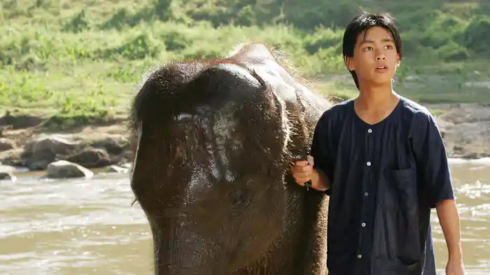 星になった少年 Shining Boy & Little Randy