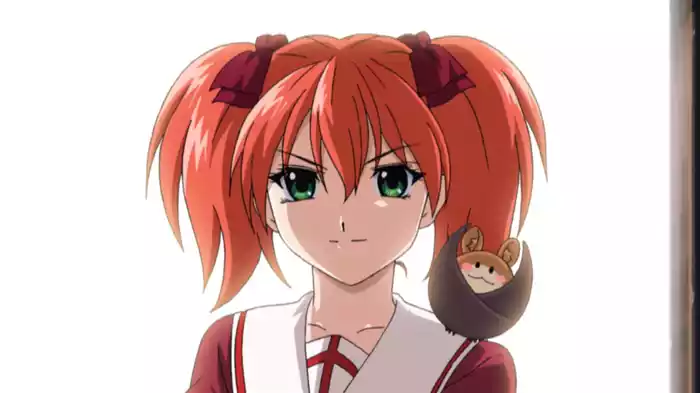 ロザリオとバンパイア CAPU２
