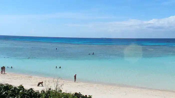 美ら猫 ザ・スペシャル竹富島・黒島・波照間島編ダイジェスト