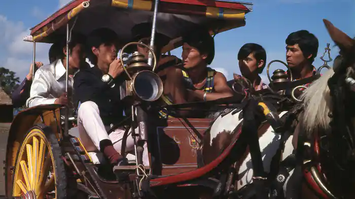 ザ・スパイダースのバリ島珍道中