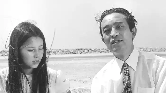 夏の妹