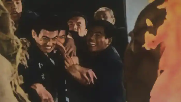 日本女侠伝 鉄火芸者