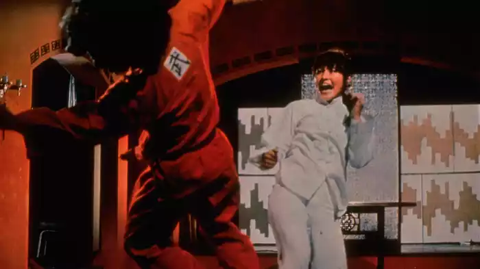 女必殺拳