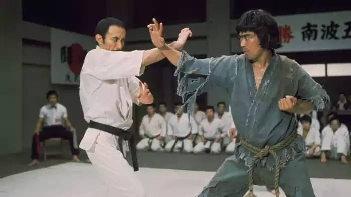 けんか空手 極真拳