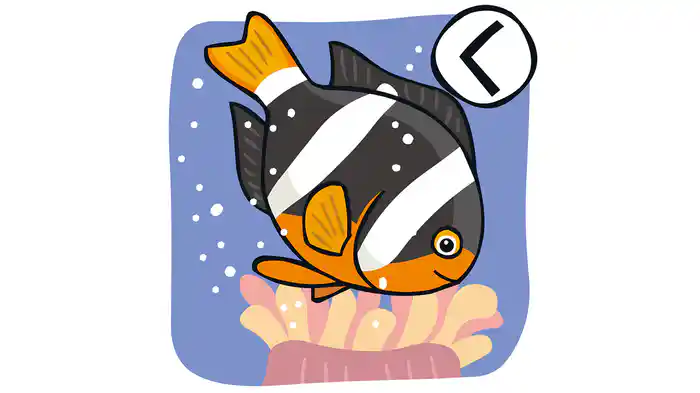 おさかなかるた　か