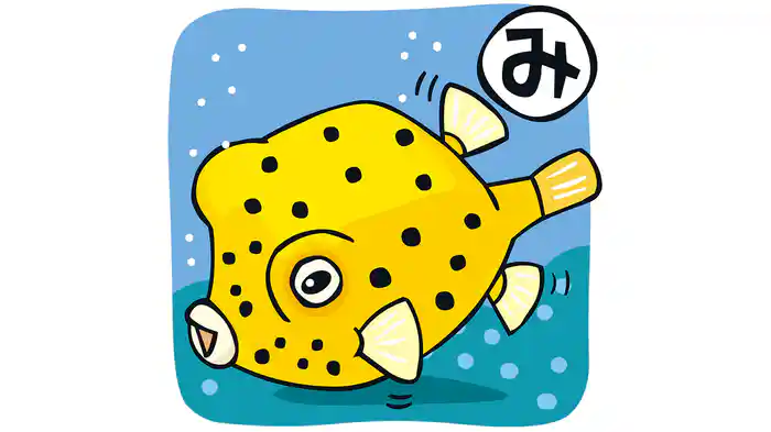 おさかなかるた　ま