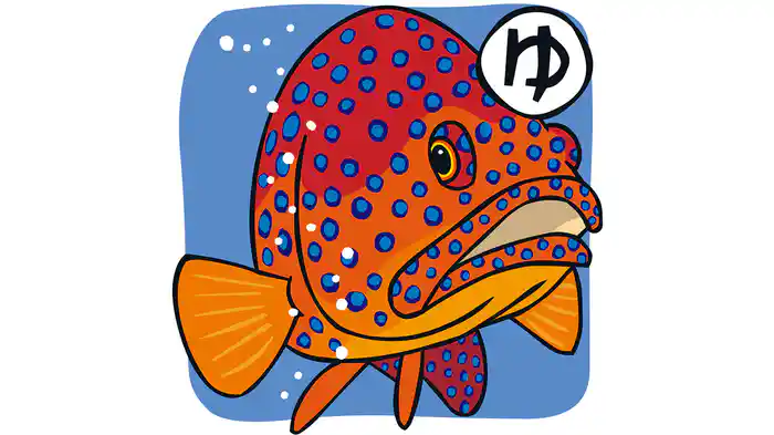 おさかなかるた やわ