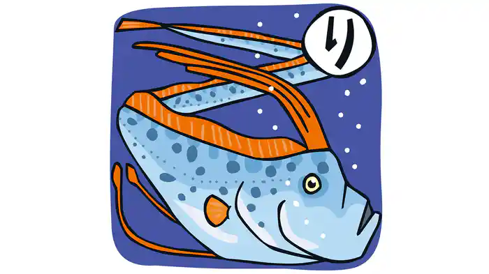 おさかなかるた ら