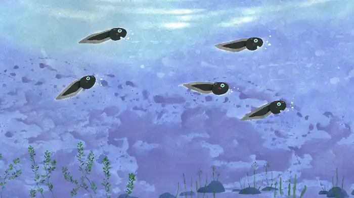 おたまじゃくしは・・・