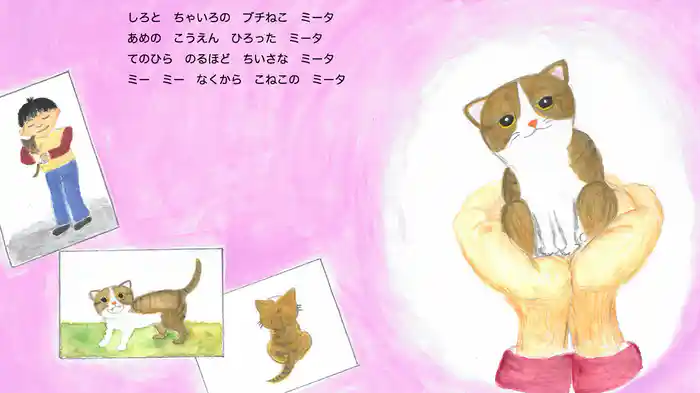 こねこのミータ