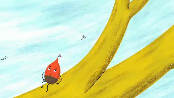 どんぐりちゃんとおくへ