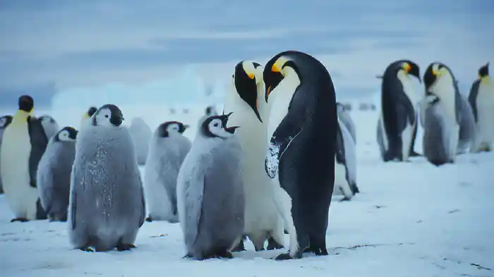 おなかへったよー!