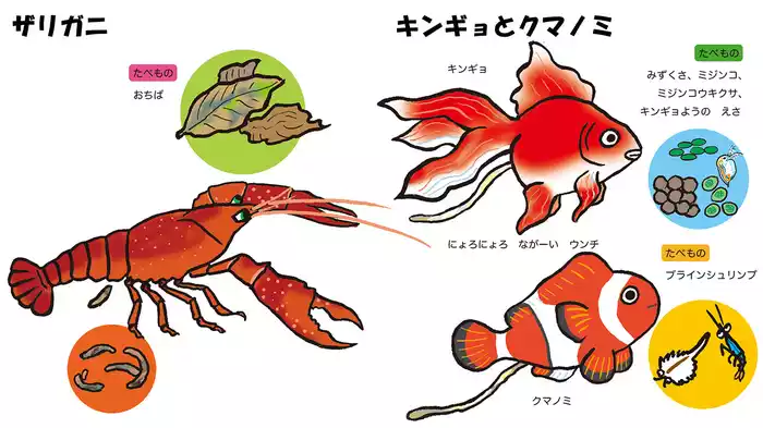 ウンチいっぱい