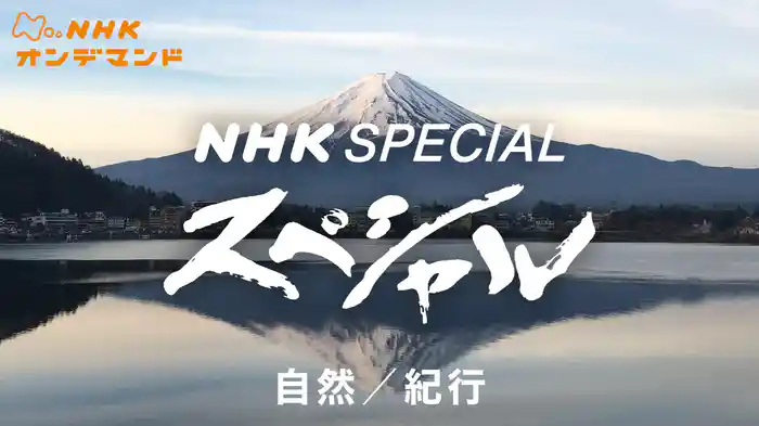 Ｎスペ　自然／紀行