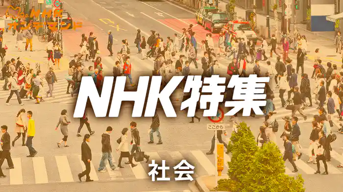 N特 社会